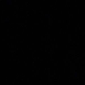 Meet your Posher, Niyaa